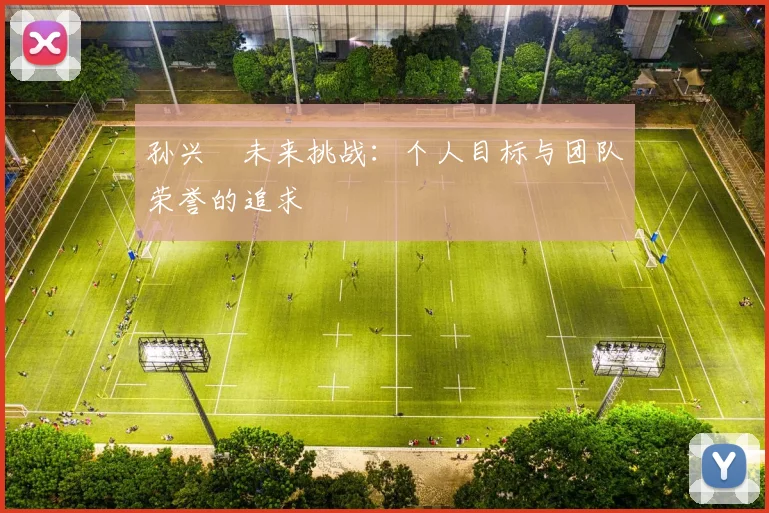 孙兴慜未来挑战：个人目标与团队荣誉的追求