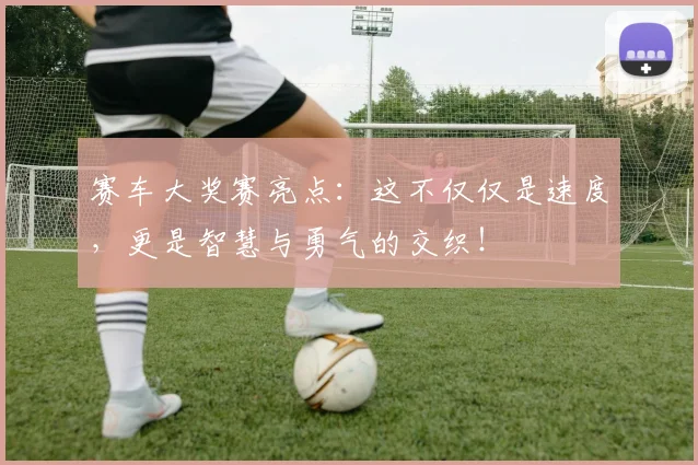 赛车大奖赛亮点：这不仅仅是速度，更是智慧与勇气的交织！